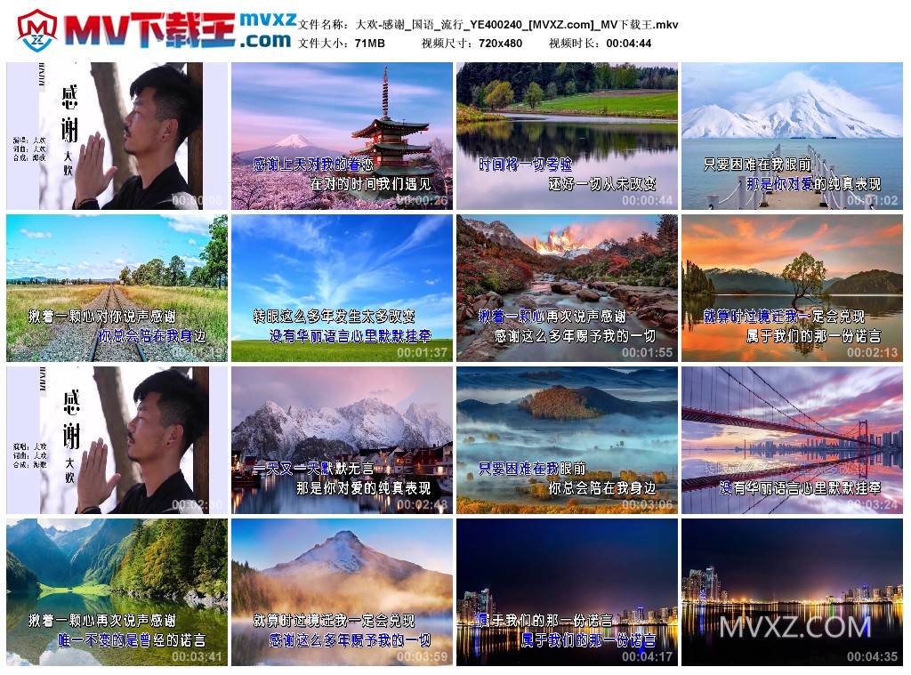 大欢-感谢_国语_流行_YE400240